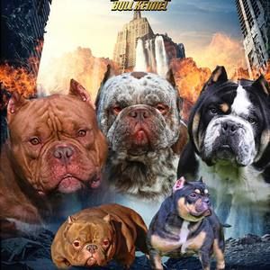 Meet your Posher, Edwin félix